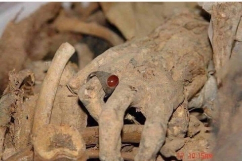 Her gorekî komî ya li Semawe zêdetirî 100 hemwelatiyên kurd têde ne!