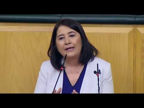 HDP: Erdogan bo parastina desthilata xwe Tirkyê dixe nav agir