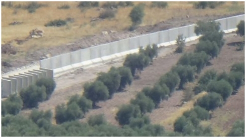 Li devera Şêrawa ya Efrînê şer derket