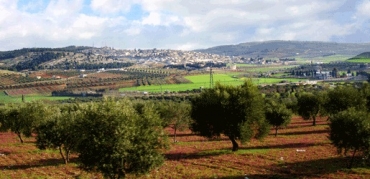 Li Efrînê termê 150 kesan hatine dîtin