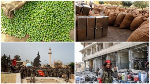 Parlemantarekî Siwîsrî: Tirkiye zeyta Efrînê didize û difiroşe Ewropa