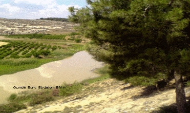 Rewşa dawîn ya gundê Burc Ebdalo