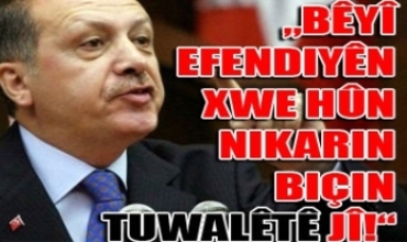 Erdogan bi dijwarî êrîşî BDP kir