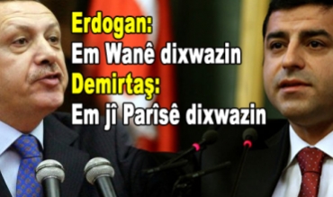 Erdogan Amed, Mêrdîn û Wanê dixwaze