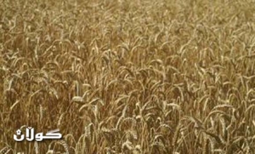 Bombardment of Qandil continues