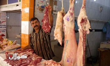 Kurdistan Region's Animal Resources Directorate announces projects