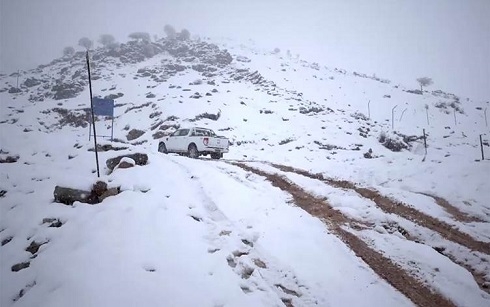 15 human smugglers arrested on border with Iran: security forces