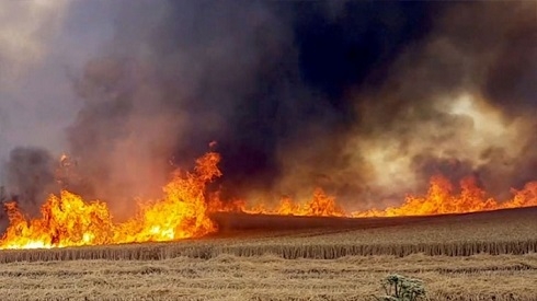 Daquq: Kurdish Farms Burned to Ashes