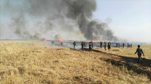 Fire Burns Kurdish Farms in Disputed Makhmour