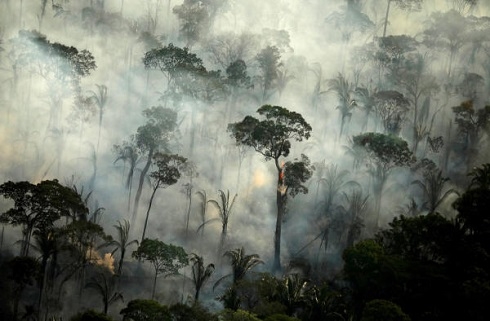 Brazilian Amazon sees worst forest fires in 13 years