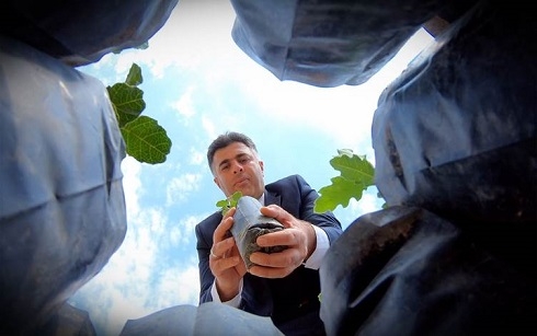 Soran preacher plants thousands of oak trees across Kurdistan Region