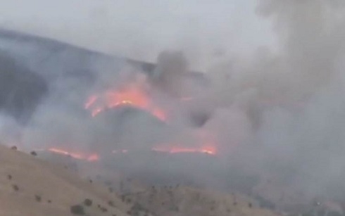 Sulaimani province wildfire put out after scorching swathes of forest, pastures