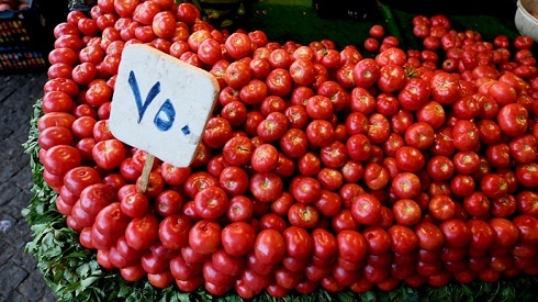 Kurdistan Region stops importing tomatoes to protect local production