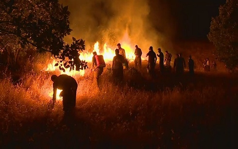 Large fire on Sulaimani's Mount Goizha brought under control