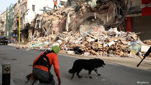 Rescue teams search Beirut rubble after sign of life detected