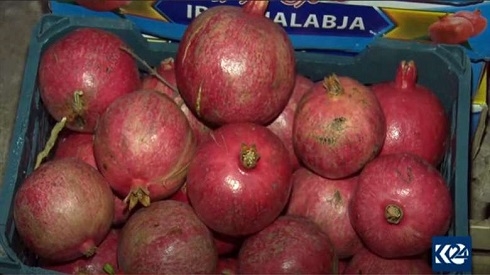 Halabja increases yield of pomegranates, adding other countries to export list