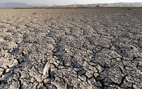 UN calls on Iraq to take urgent climate action