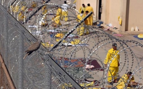 22,380 terror convicts imprisoned in Iraq: Ministry of Justice