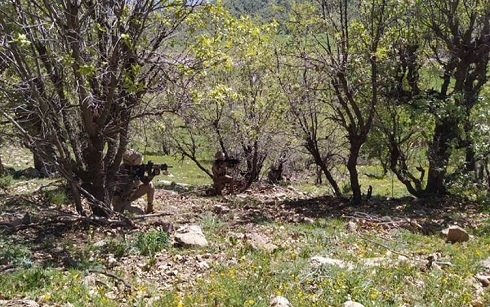 Turkey launches fresh domestic operations against PKK