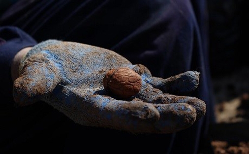 Green revolution: The Syrian Kurds fighting for Rojava’s environment