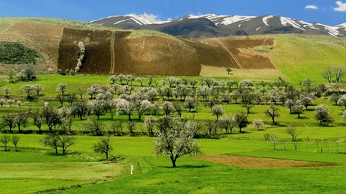 PM Barzani: Kurdistan will join international efforts to protect environment, use renewable energy