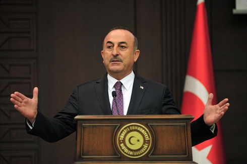 France must review ties with YPG: Çavuşoğlu