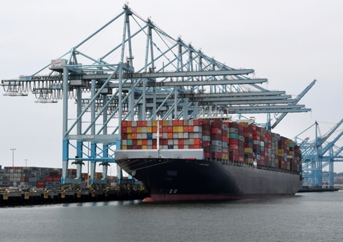 OECD cuts global growth forecast as US-China tensions rise