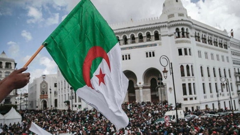 Algeria’s Constitutional Council: July elections impossible