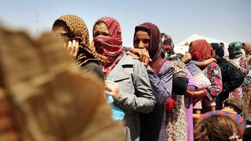 Over 200 Yezidi families receive no aid from Iraqi government: Migration Ministry