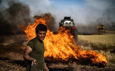Syria Kurds alarmed as fire ravages wheat near oil installations
