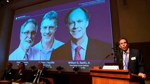 Nobel Prize in Medicine goes to cell research trio