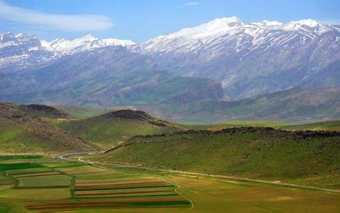 Race against time to save Kurdistan’s endangered plant species