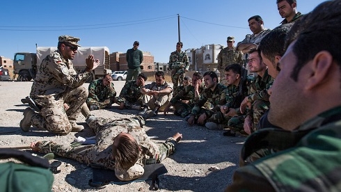 Militaries suspend training of Iraqi forces after US strike