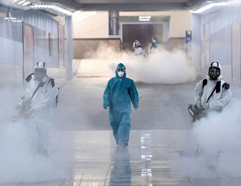 Coronavirus deaths near 500; thousands stranded on cruise ships