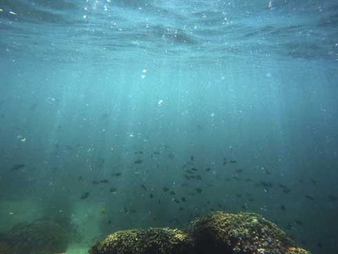 UN report on global warming carries life-or-death warning