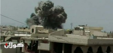 World must act over Syria chemical weapons - Hollande