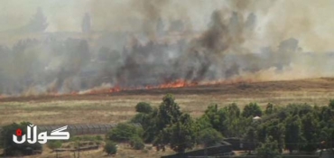 Syrian army 'retakes Golan crossing'