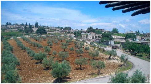 Li gundekî Efrînê zimanê Kurdî tê qedexekirin