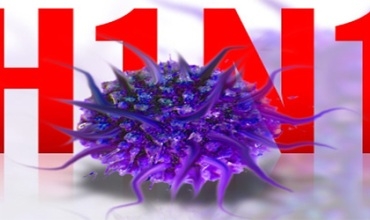 Li Silêmanî 20 haletên infilwazeya Beraz