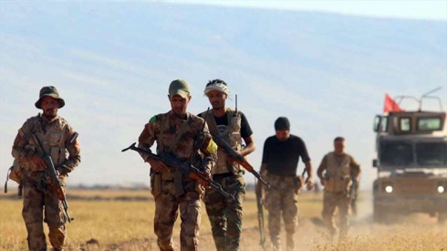 Heşdî Şeibî ji Şingal venekişiya ye