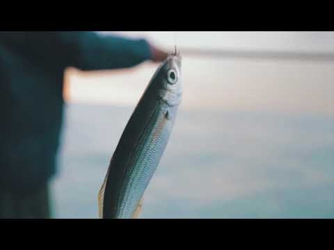 Çavên wî nabînin lê 10 sal in masîgiriyê dike