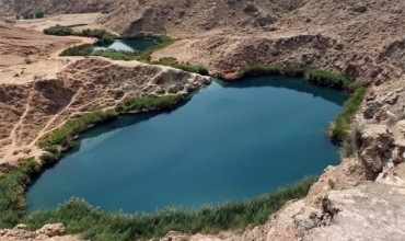 Xwezaya Îlamê geştyaran matmayî dihêle