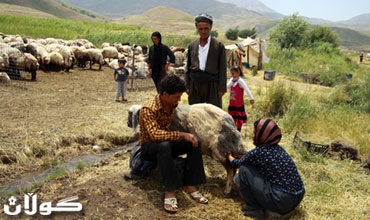 بەسەربردنی ژیان لای كۆچەرییەكـان لە دەڤـەری حاجی ئـۆمەران