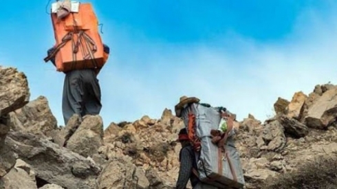 Di mehekê de 8 Kolber hatine kuştin