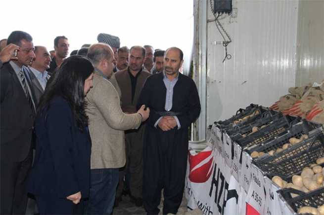 وەزارەتی كشتوكاڵ پاڵپشتی 25% ی هەر تەنێك هاوكاریی جووتیارانەو بنەتۆی پەتاتەش بەسەر جووتیارانی گوندی بامەرزێ دابەش دەکرێ