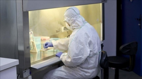 Rewşa Korona li herêma Kurdistanê