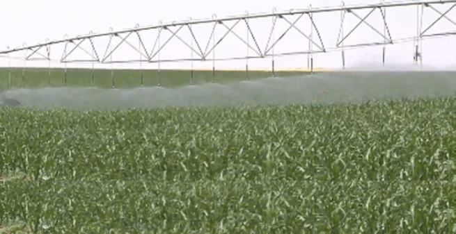 تەکنەلۆژیا بەرهەمی کشتوکاڵی هەرێمی کوردستانی زیاتركردووە