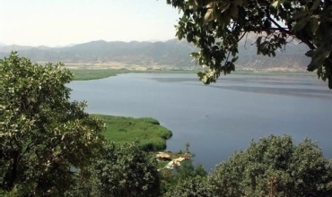 Metirsiya ziwabûna gola Zerîwarê heye