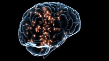 Ji bo felcê derman hat dîtin