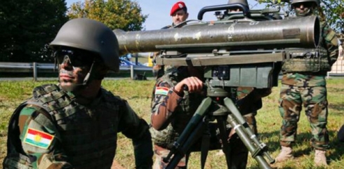 Elmanya çekên bêhtir ji Pêşmergeyan re dişîne